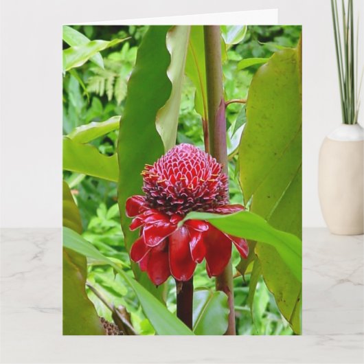 Carte postale de joyeux anniversaire d'Hawaï (Devant)