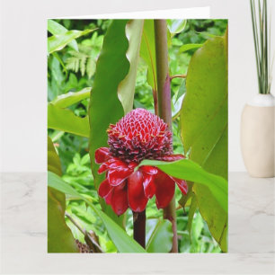 Carte postale de joyeux anniversaire d'Hawaï