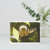 Carte postale de June Monarch (Debout devant)