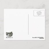 Carte postale de Kern River ! (Dos)