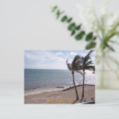 Carte postale de Key West (Debout devant)