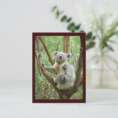 Carte postale de koala mignon (Debout devant)