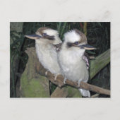 Carte postale de Kookaburras (Devant)