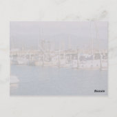 Carte postale de la baie de la demi-lune (Dos)