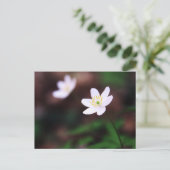Carte postale de la belle fleur d'anémone des bois (Debout devant)