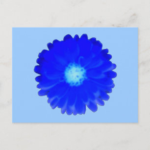 Carte postale de la belle marguerite bleu