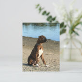 Carte postale de la boîte à broches (Debout devant)