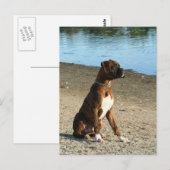 Carte postale de la boîte à broches (Devant / Derrière)