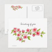 Carte postale de la branche Cherry Blossom (Devant / Derrière)
