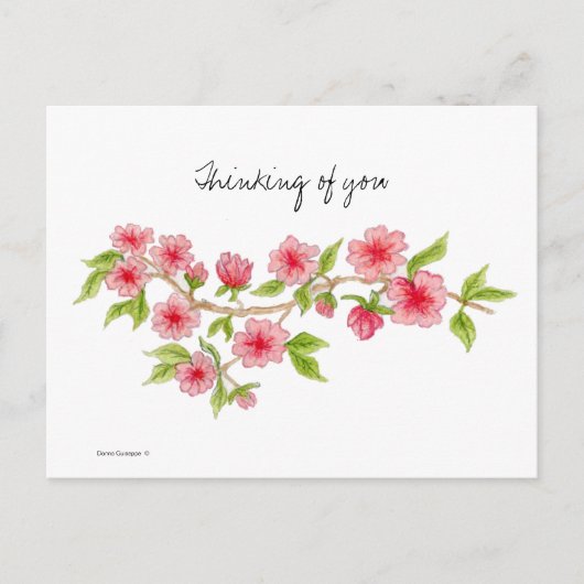Carte postale de la branche Cherry Blossom (Devant)