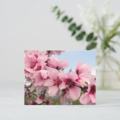 Carte postale de la branche rose (Debout devant)