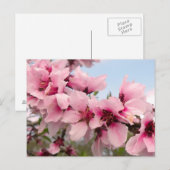 Carte postale de la branche rose (Devant / Derrière)