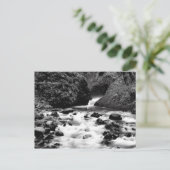 Carte postale de la Bride Veil Falls Oregon (Debout devant)