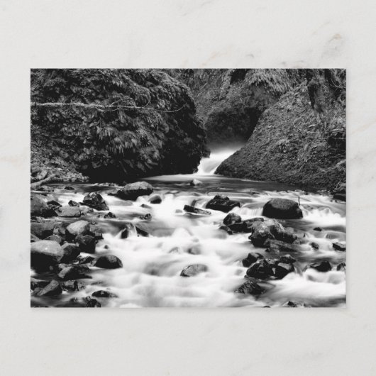 Carte postale de la Bride Veil Falls Oregon (Devant)