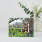 Carte postale de la campagne (Debout devant)