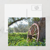 Carte postale de la campagne (Devant / Derrière)