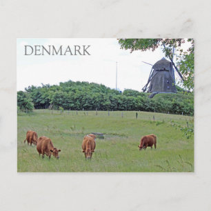 Carte postale de la campagne danoise !