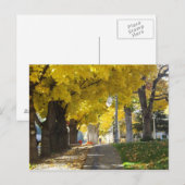 Carte postale de la canopée d'automne (Devant / Derrière)