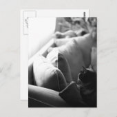 Carte postale de la chambre des chats (Devant / Derrière)