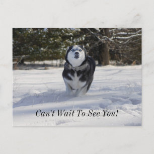 Carte postale de la charge