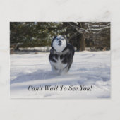 Carte postale de la charge (Devant)