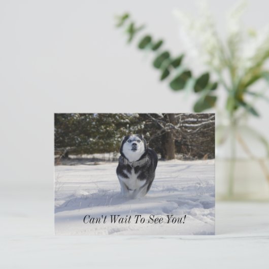 Carte postale de la charge (Debout devant)