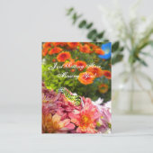 Carte postale de la chenille manquante (Debout devant)