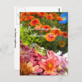 Carte postale de la chenille manquante (Devant / Derrière)