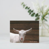 Carte postale de la chèvre d'enfant Daisy (Debout devant)