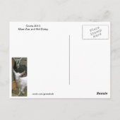 Carte postale de la chèvre d'enfant Daisy (Dos)