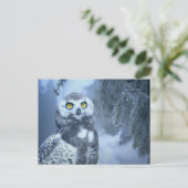 carte postale de la chouette des neiges (Debout devant)
