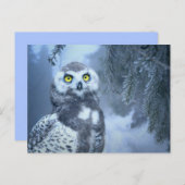 carte postale de la chouette des neiges (Devant / Derrière)