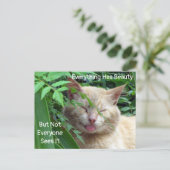 Carte postale de la citation de beauté - Beauté ve (Debout devant)