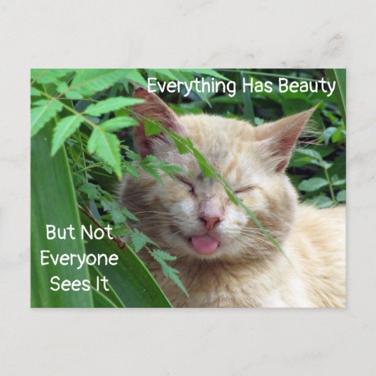 Carte postale de la citation de beauté - Beauté ve (Devant)