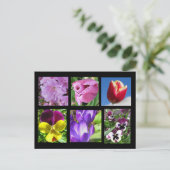 Carte postale de la collection de fleurs de printe (Debout devant)