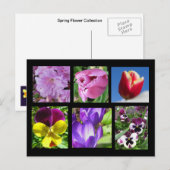 Carte postale de la collection de fleurs de printe (Devant / Derrière)