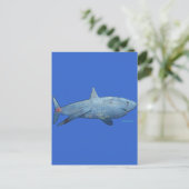 Carte Postale De la collection Sharks (Debout devant)
