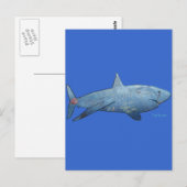 Carte Postale De la collection Sharks (Devant / Derrière)