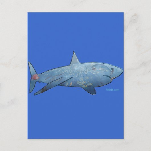 Carte Postale De la collection Sharks (Devant)