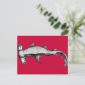 Carte Postale De la collection Sharks (Debout devant)