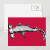 Carte Postale De la collection Sharks (Devant / Derrière)
