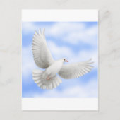 Carte postale de la colombe (Devant)