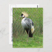 Carte postale de la Couronne d'Afrique de l'Est (Devant / Derrière)