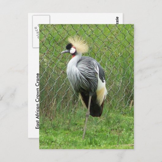 Carte postale de la Couronne d'Afrique de l'Est (Devant / Derrière)