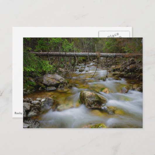 Carte postale de la crique de la forêt rocheuse (Devant / Derrière)