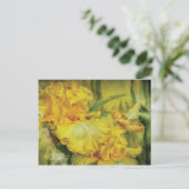 Carte Postale De La Déesse D'Art D'Été (Debout devant)