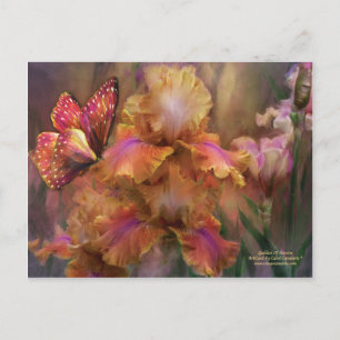 Carte Postale De La Déesse Sunrise Art