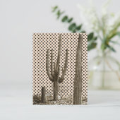 Carte postale de la diva du désert (Debout devant)