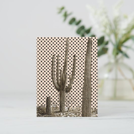 Carte postale de la diva du désert (Debout devant)