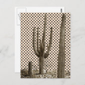 Carte postale de la diva du désert (Devant / Derrière)